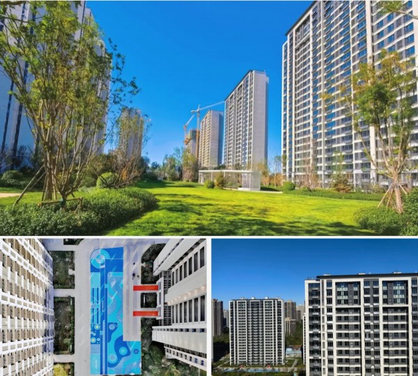 1705038346323229.jpg 圖片 12.JPG